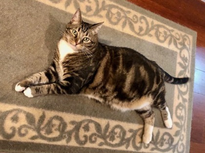 Jerry aka Preston