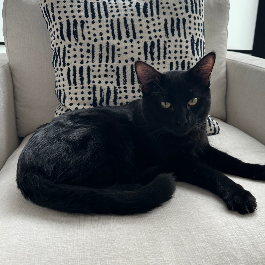 Oliver