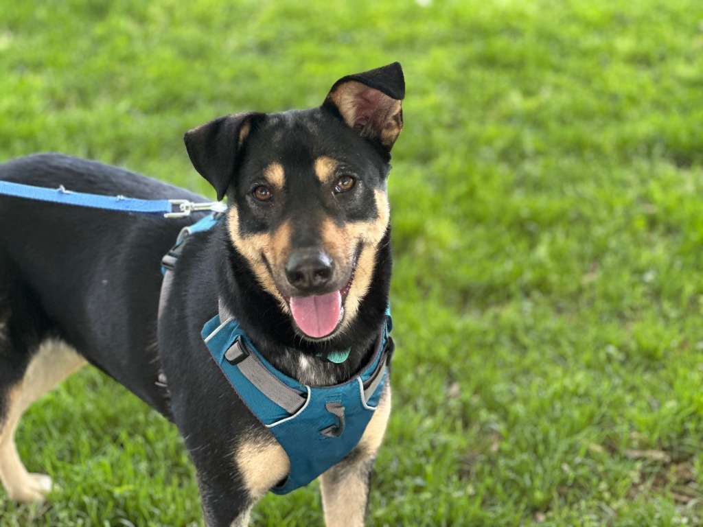 Xena