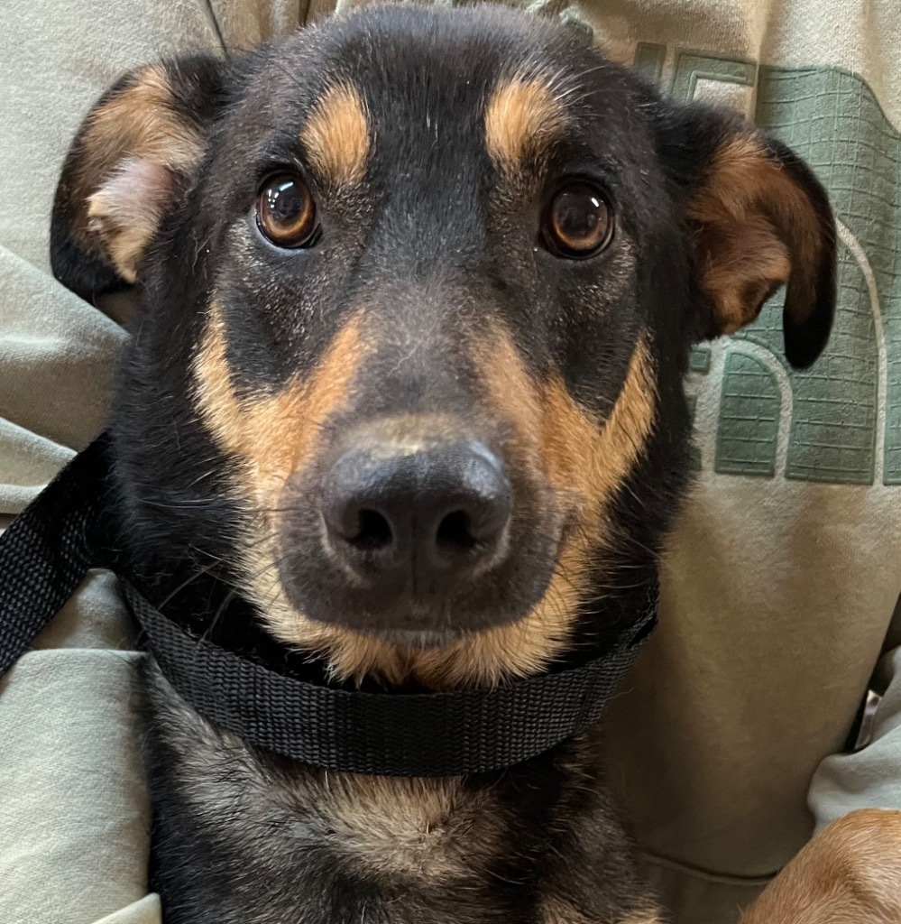Xena