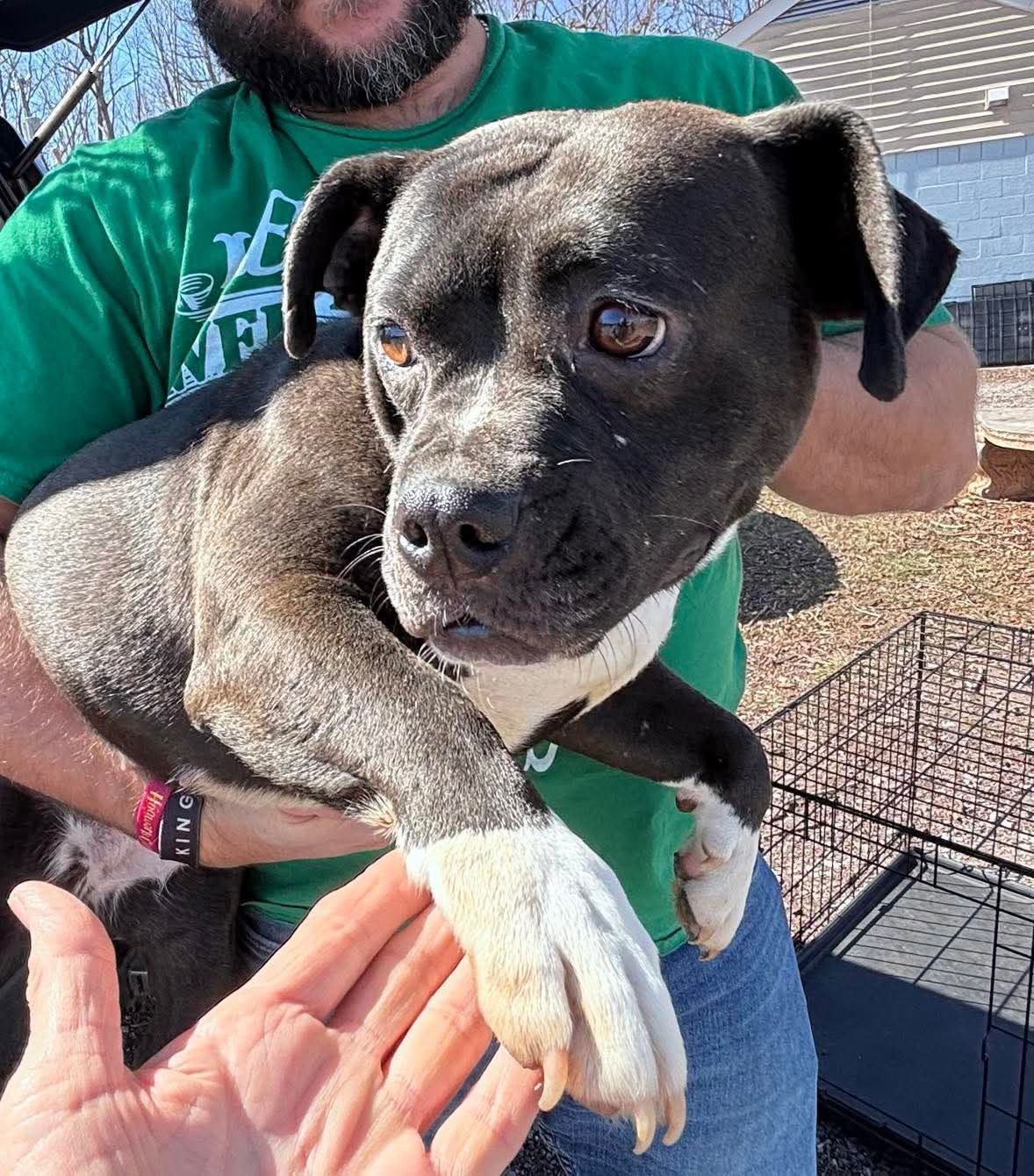 Soda: "My Home to Yours" not at shelter