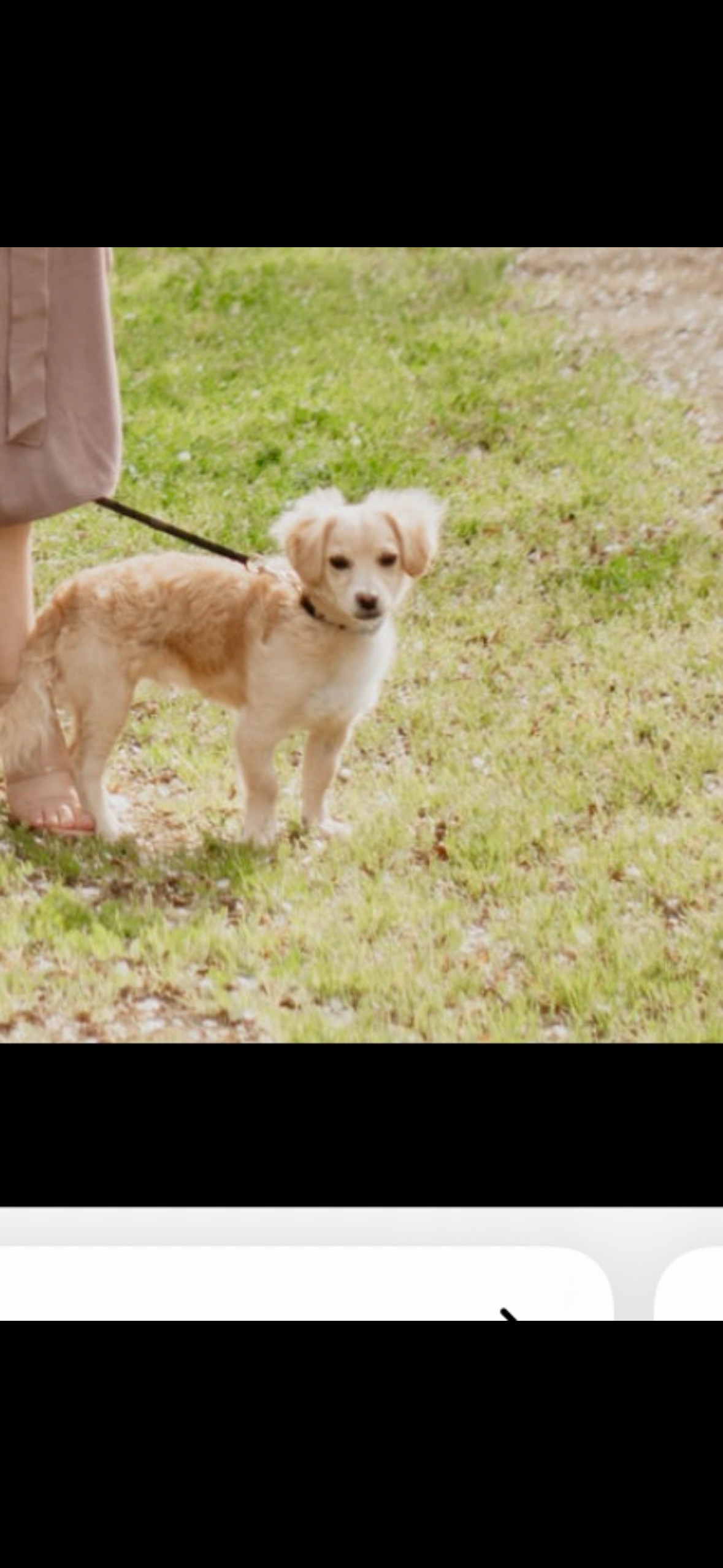 Bailey