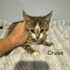 Cruise photo 2