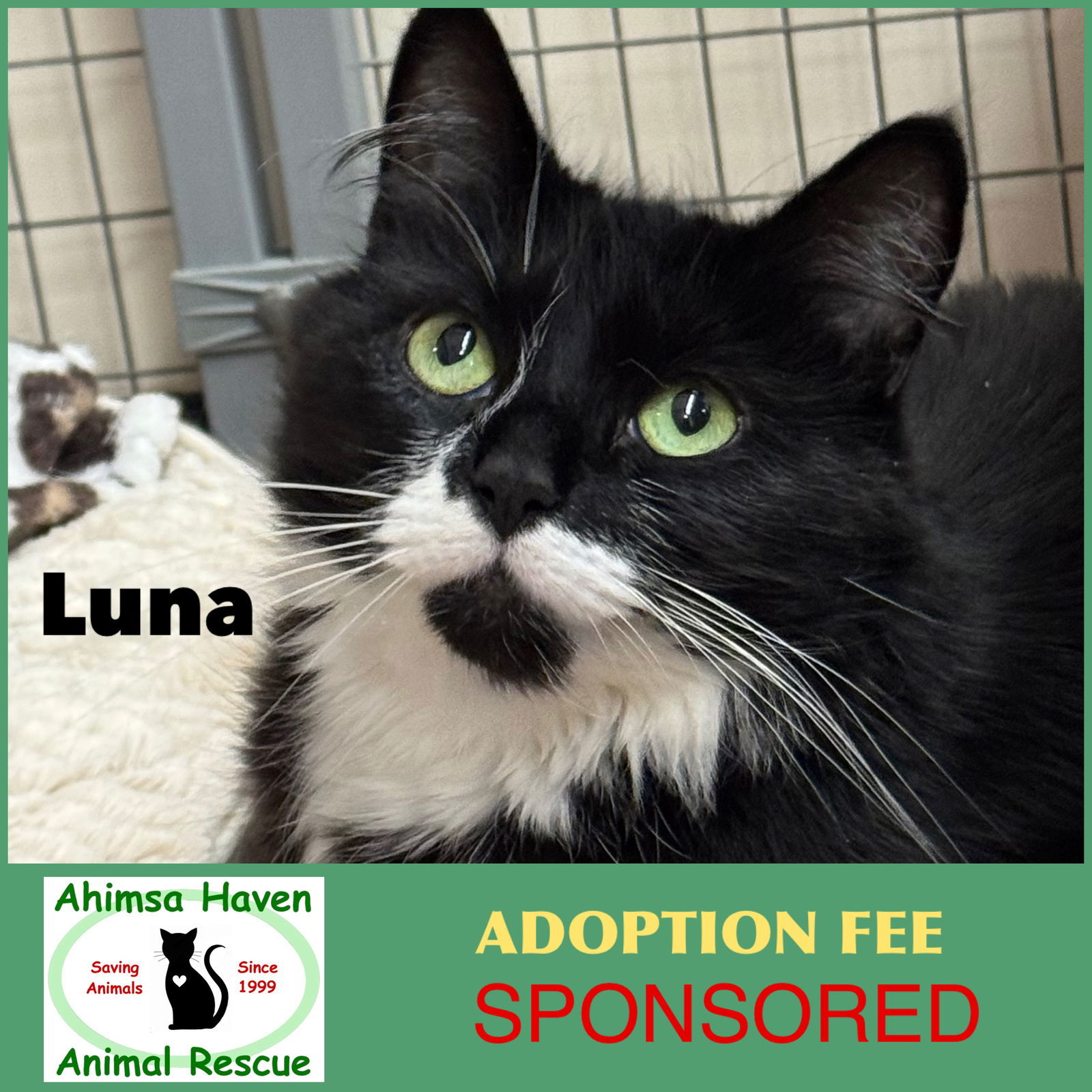 Luna