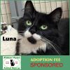 Luna photo 1