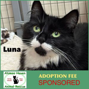 Luna