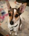 Missy (TX) photo 1