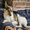 Missy (TX) photo 3