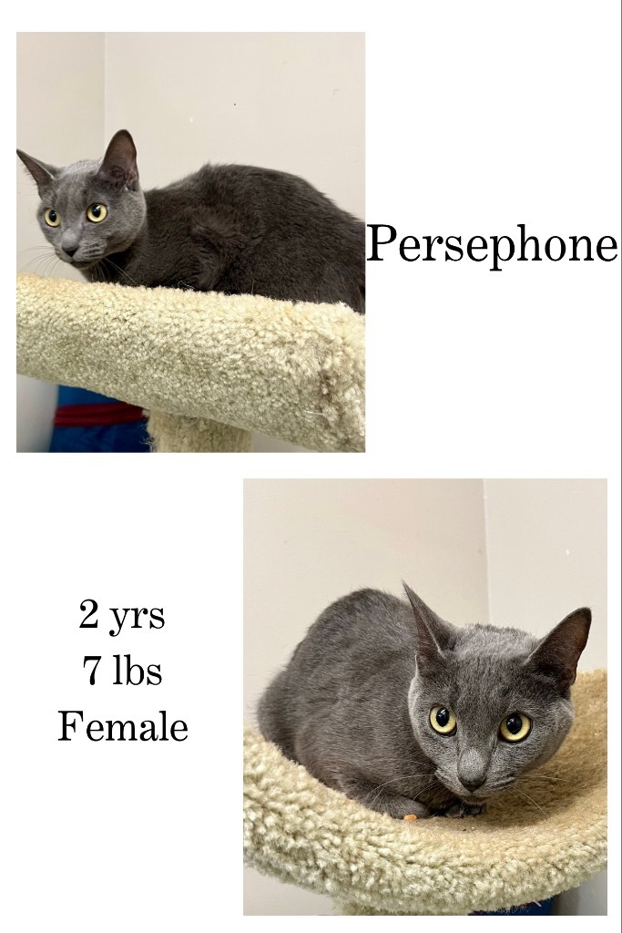 Persephone