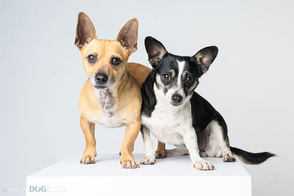 Bonded Par - Ryver & Ryker