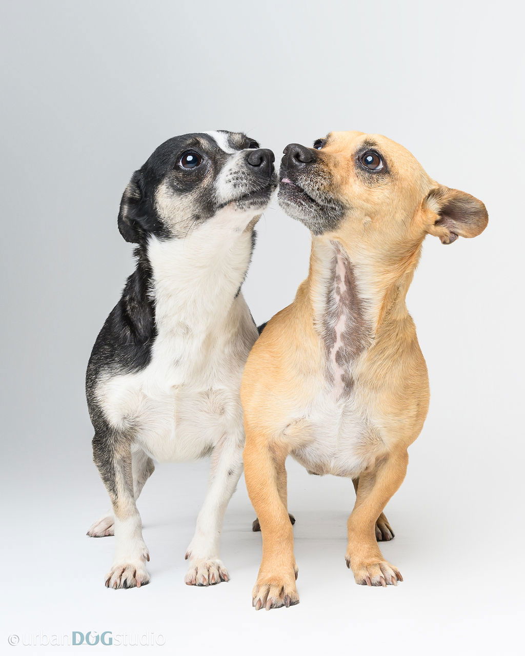 Bonded Par - Ryver & Ryker