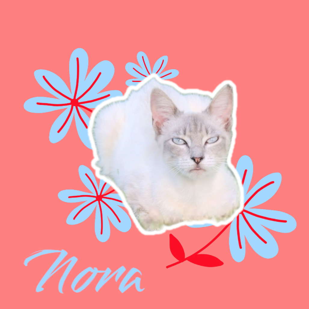 Nora