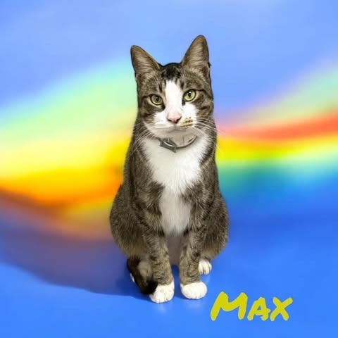 Max