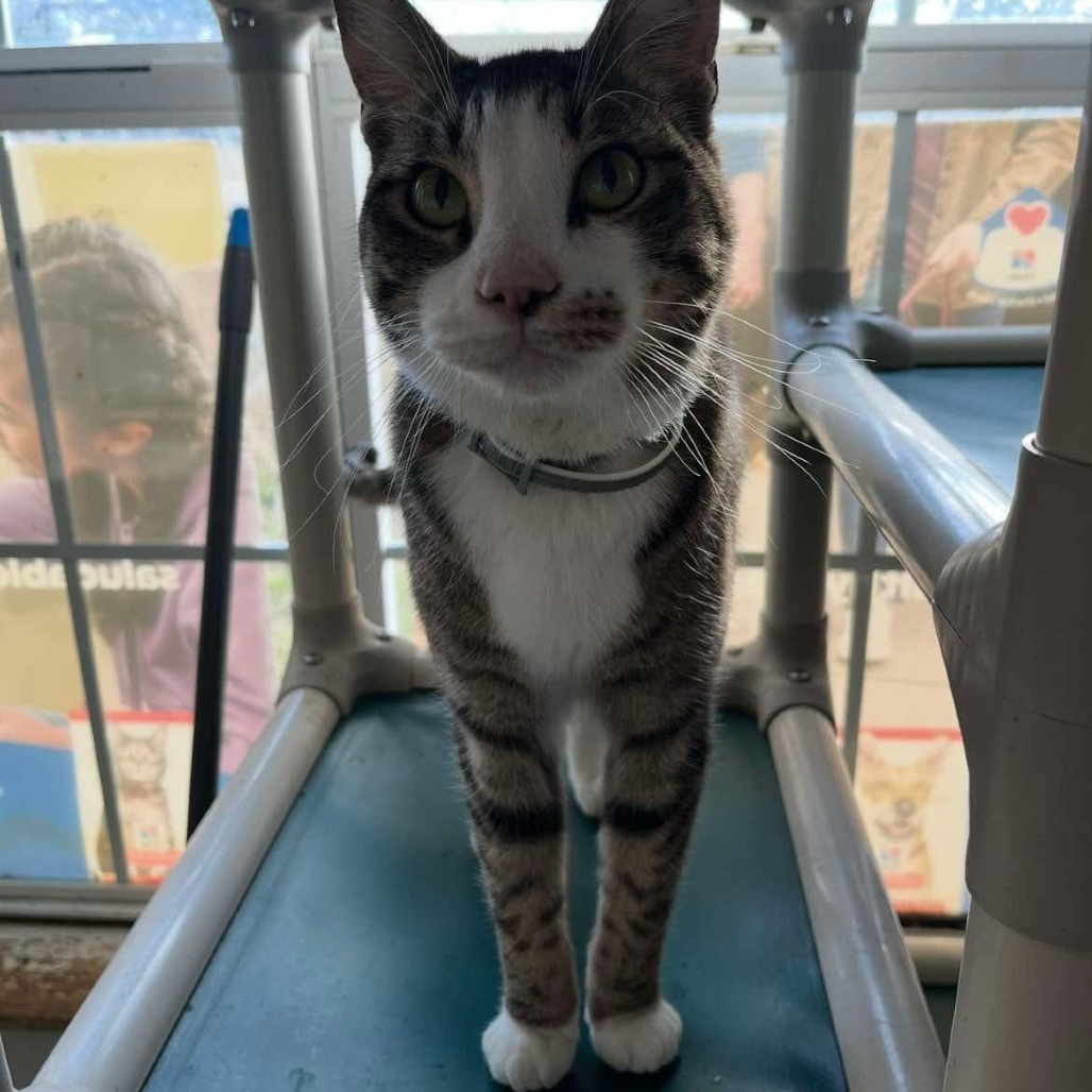 Max