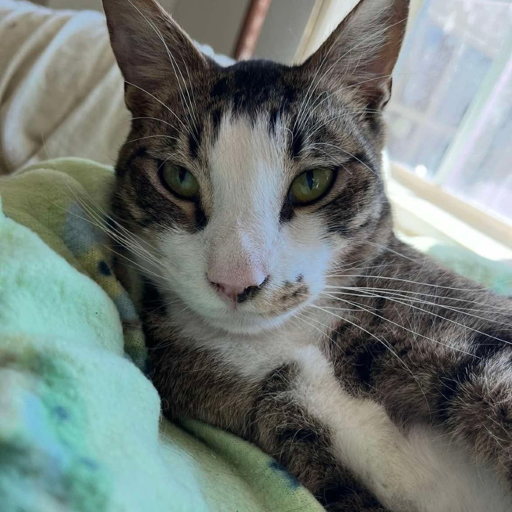 Max