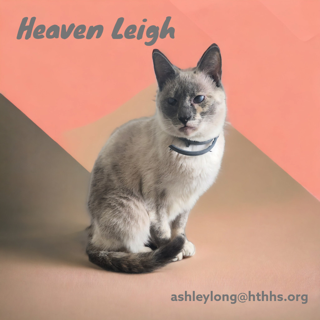 Heaven Leigh