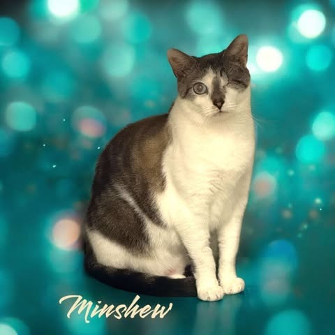 Minshew