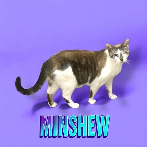 Minshew
