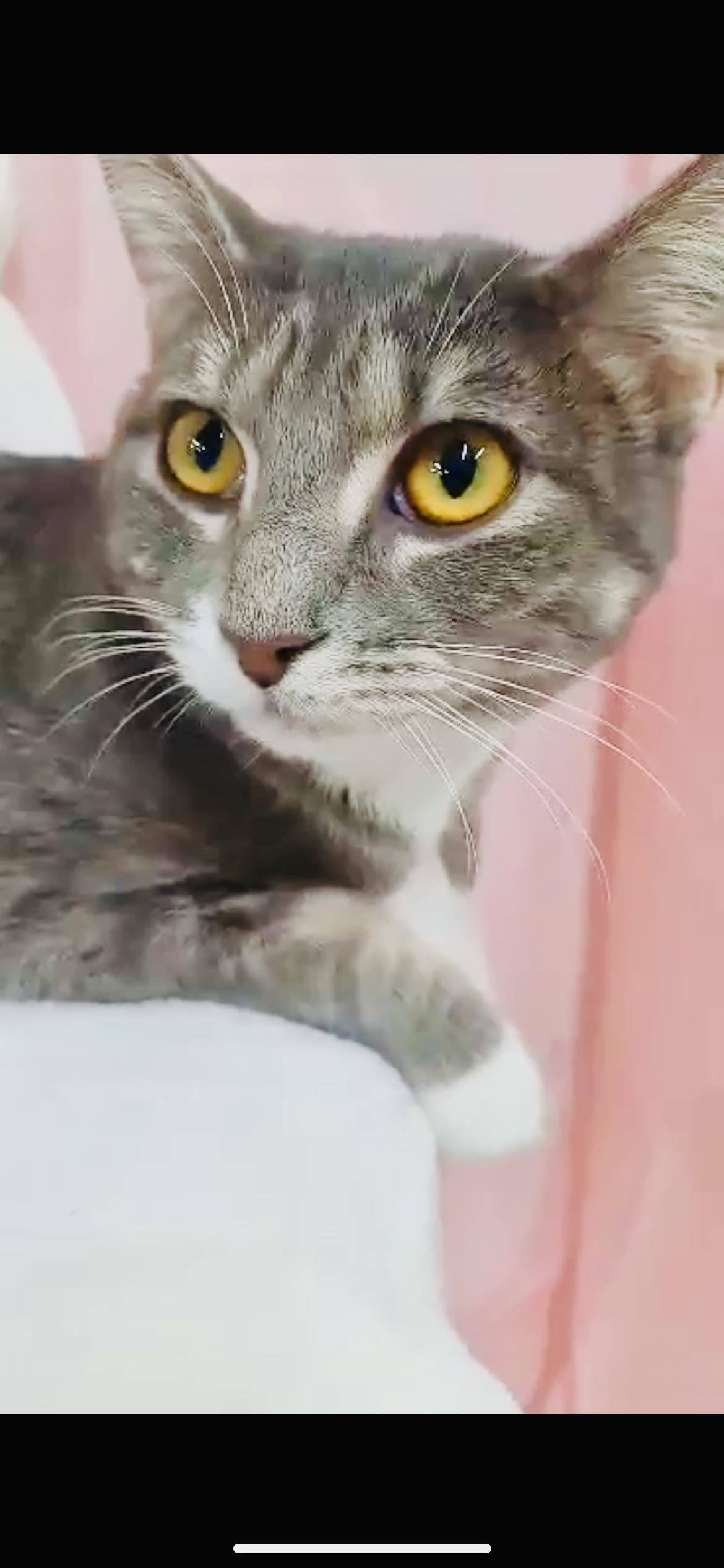 Vicky