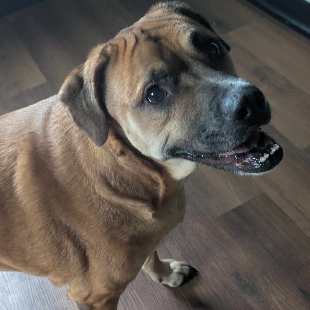 Tyson