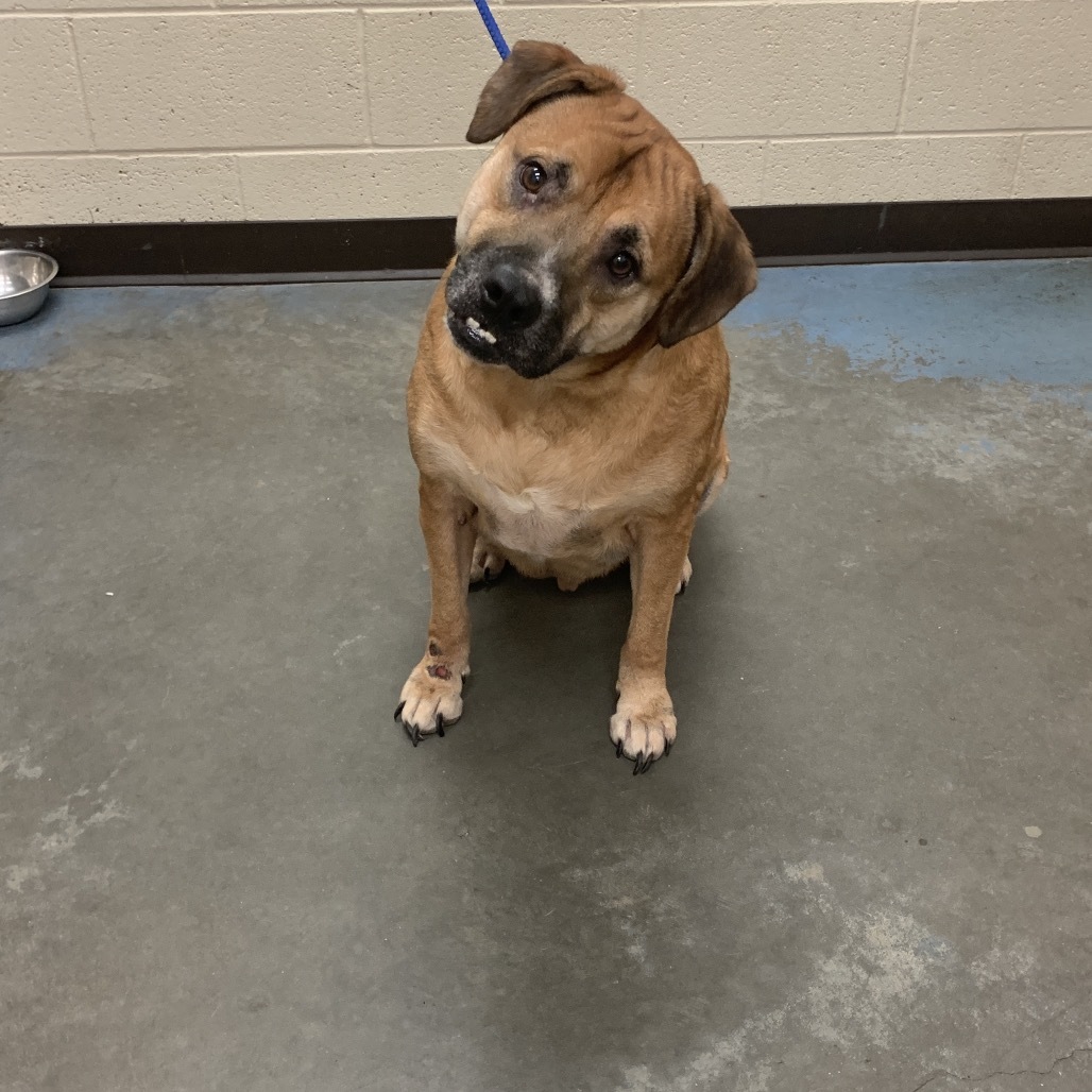 Tyson