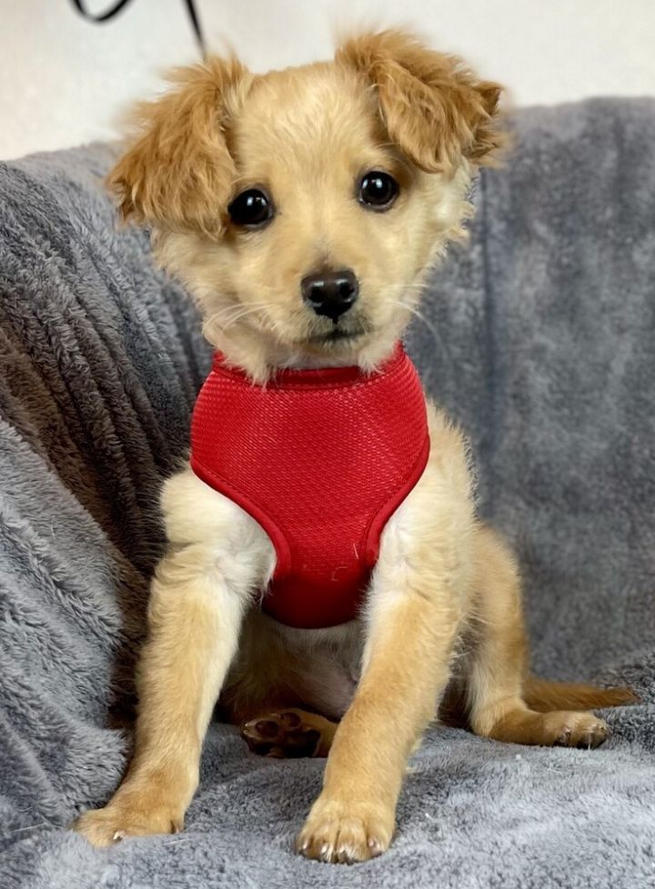 Tucker 2