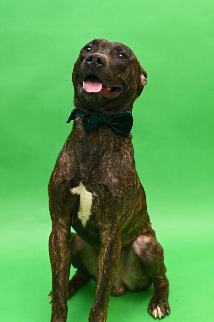 Murphy
