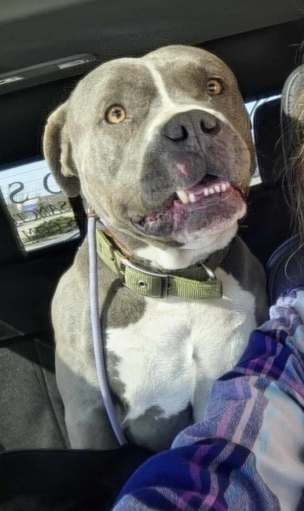 ODIN