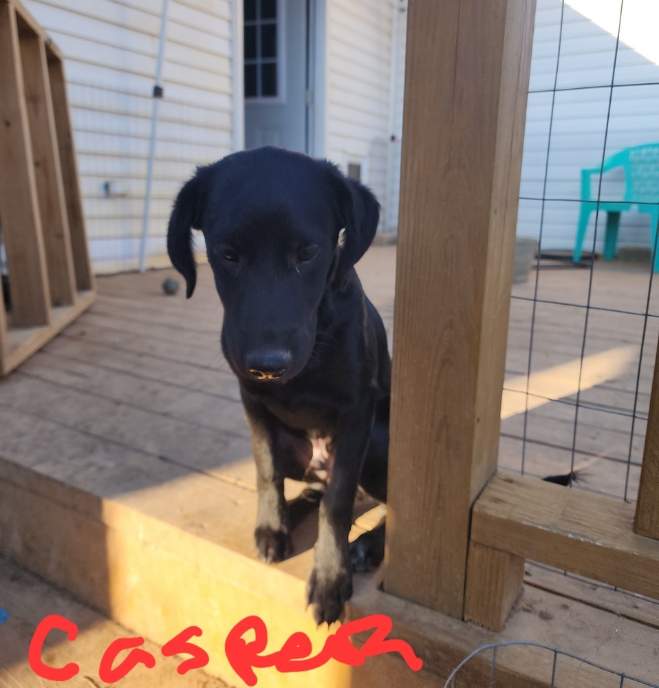 Casper