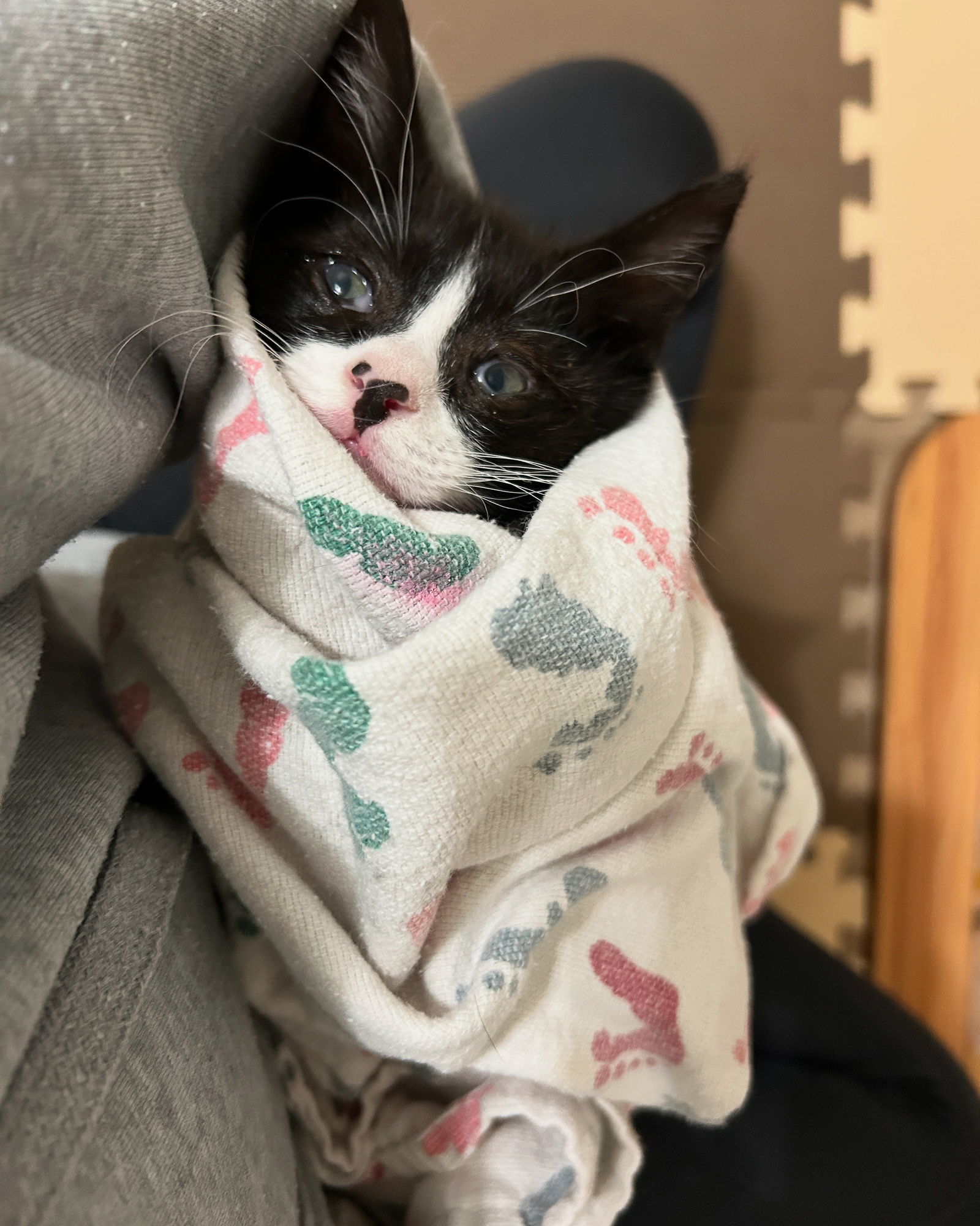 Alvin