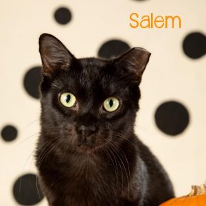 Salem