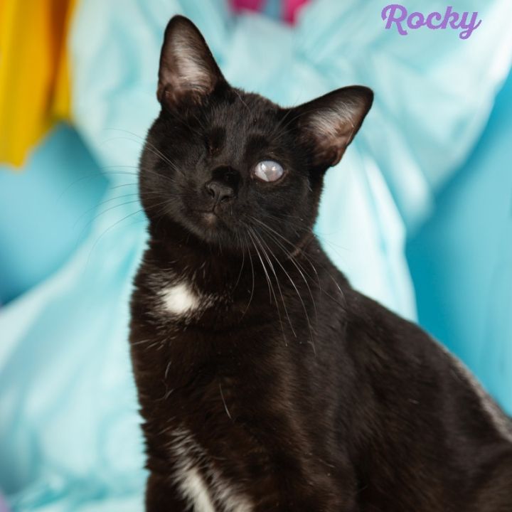 Rocky 3