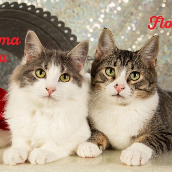 Thelma Lou 2
