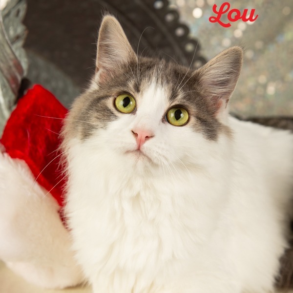 Thelma Lou 5