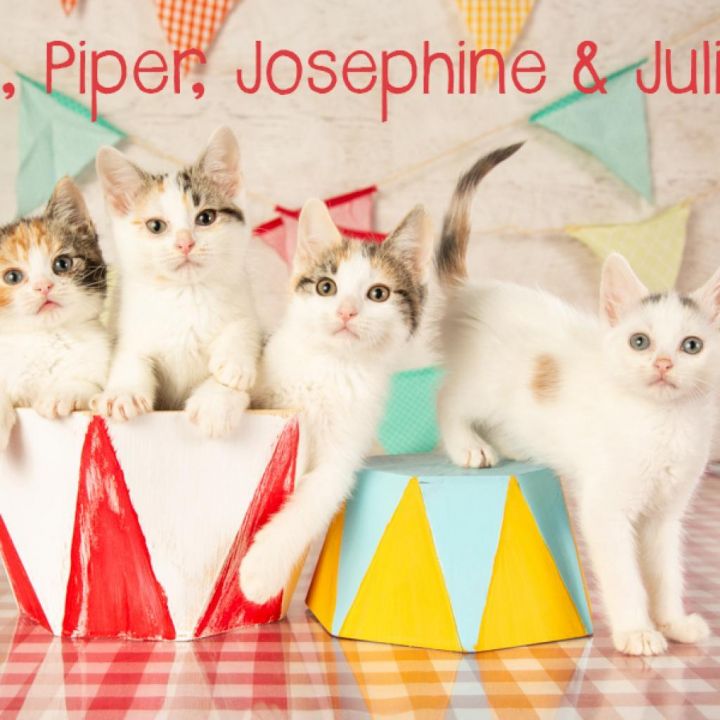 Juliette 2