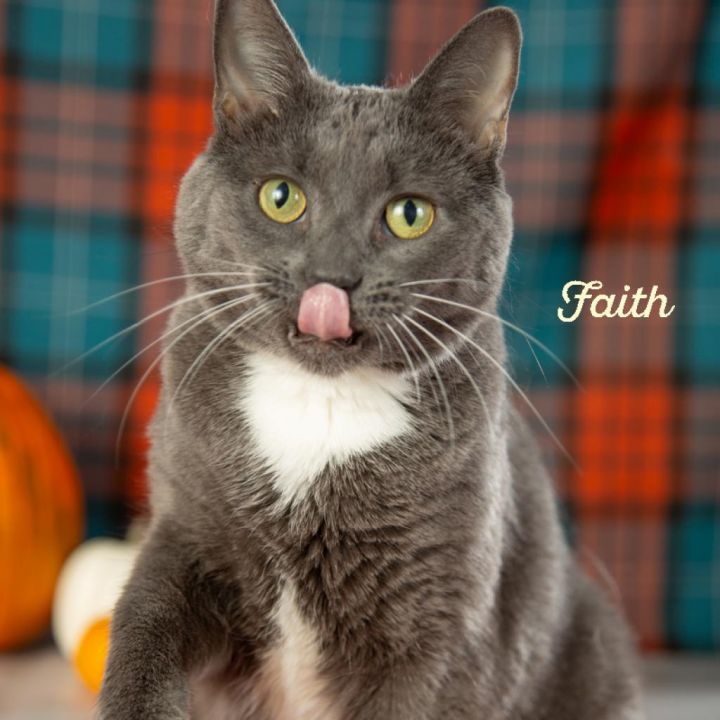 Faith 1