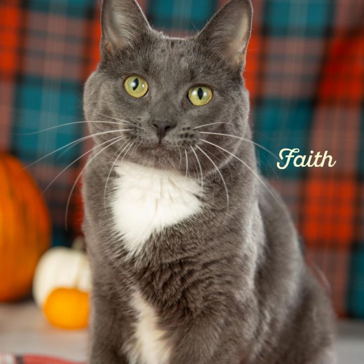 Faith 2