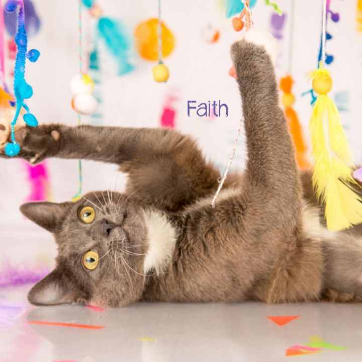 Faith 3