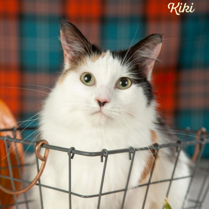 Kiki