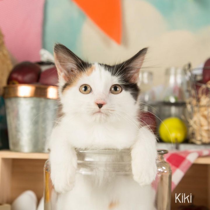 Kiki 2