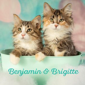 Benjamin
