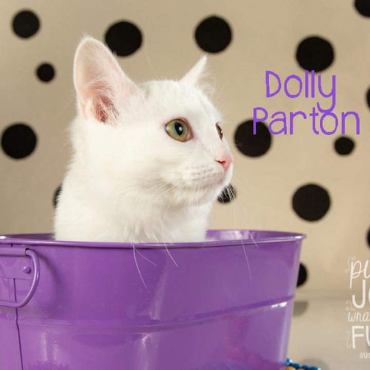 Dolly Parton 2