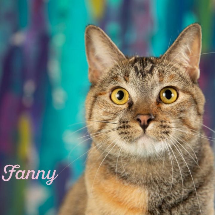 Fannie 1