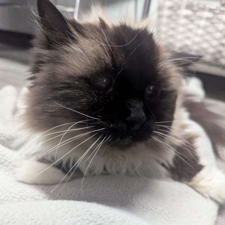 Winifred 1