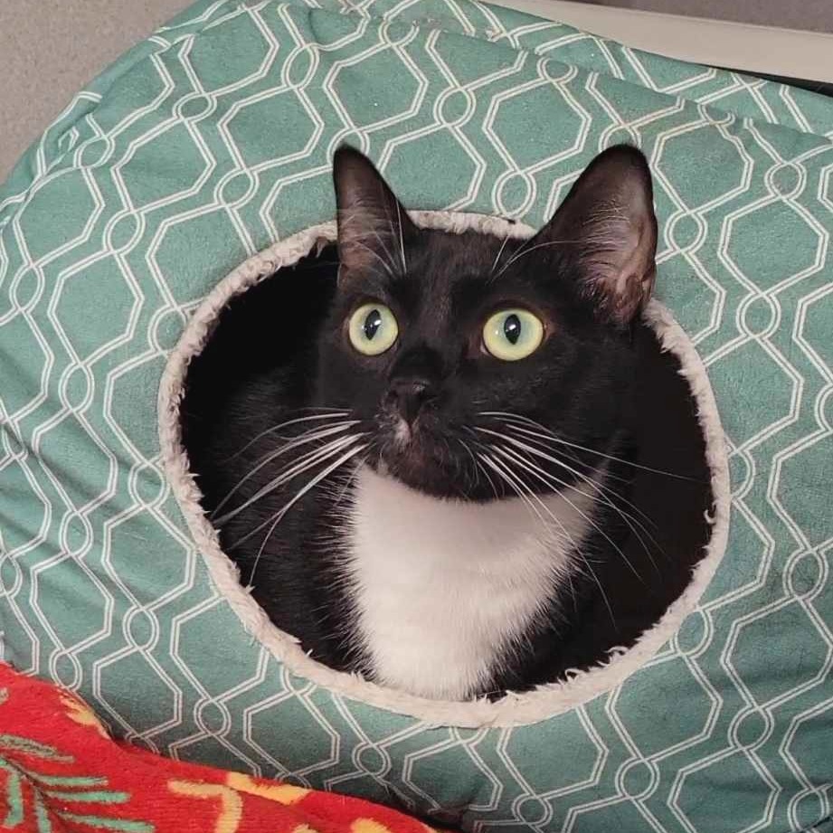 Coco