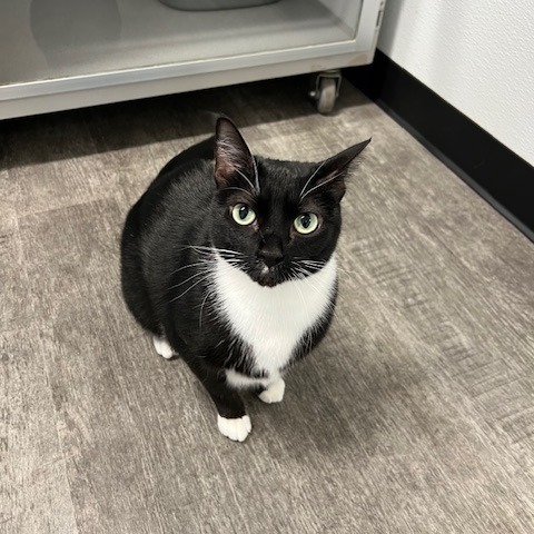 Coco