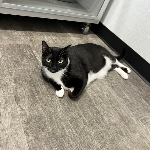 Coco