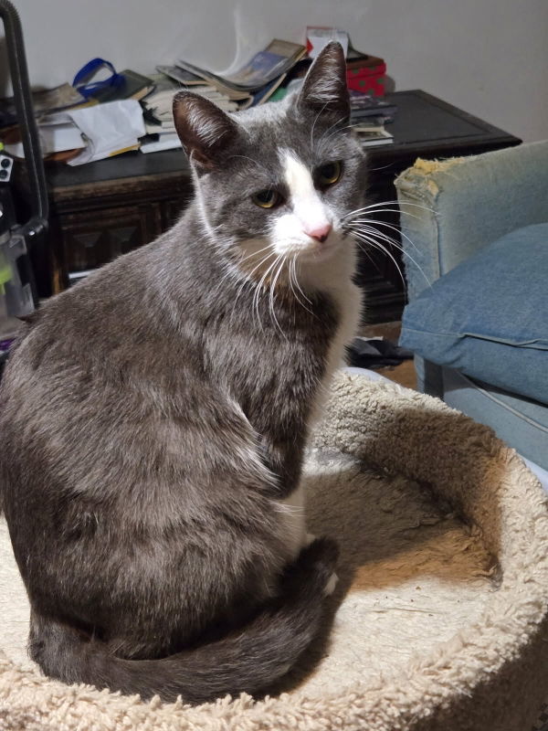Marbles