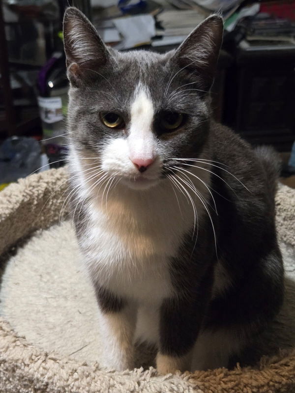 Marbles