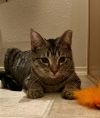 Gigi photo 1